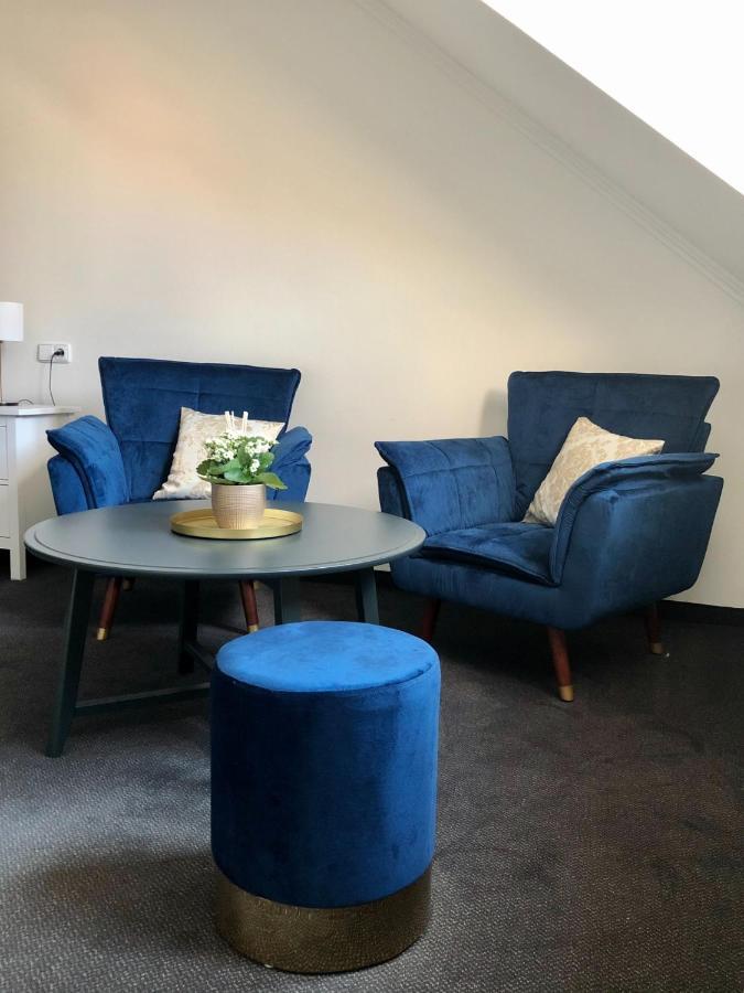 Pension Drei Rosen Karlovy Vary Extérieur photo