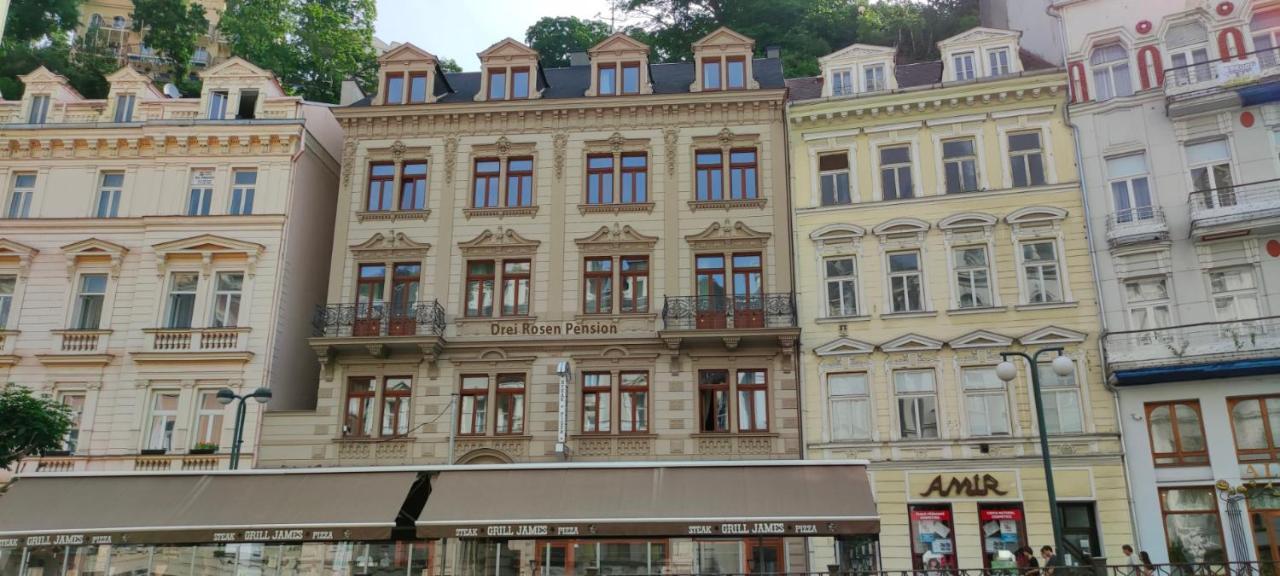 Pension Drei Rosen Karlovy Vary Extérieur photo